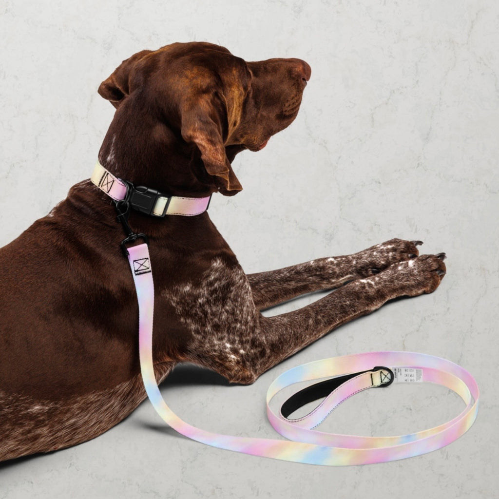 Cotton Candy Pet collar & leash