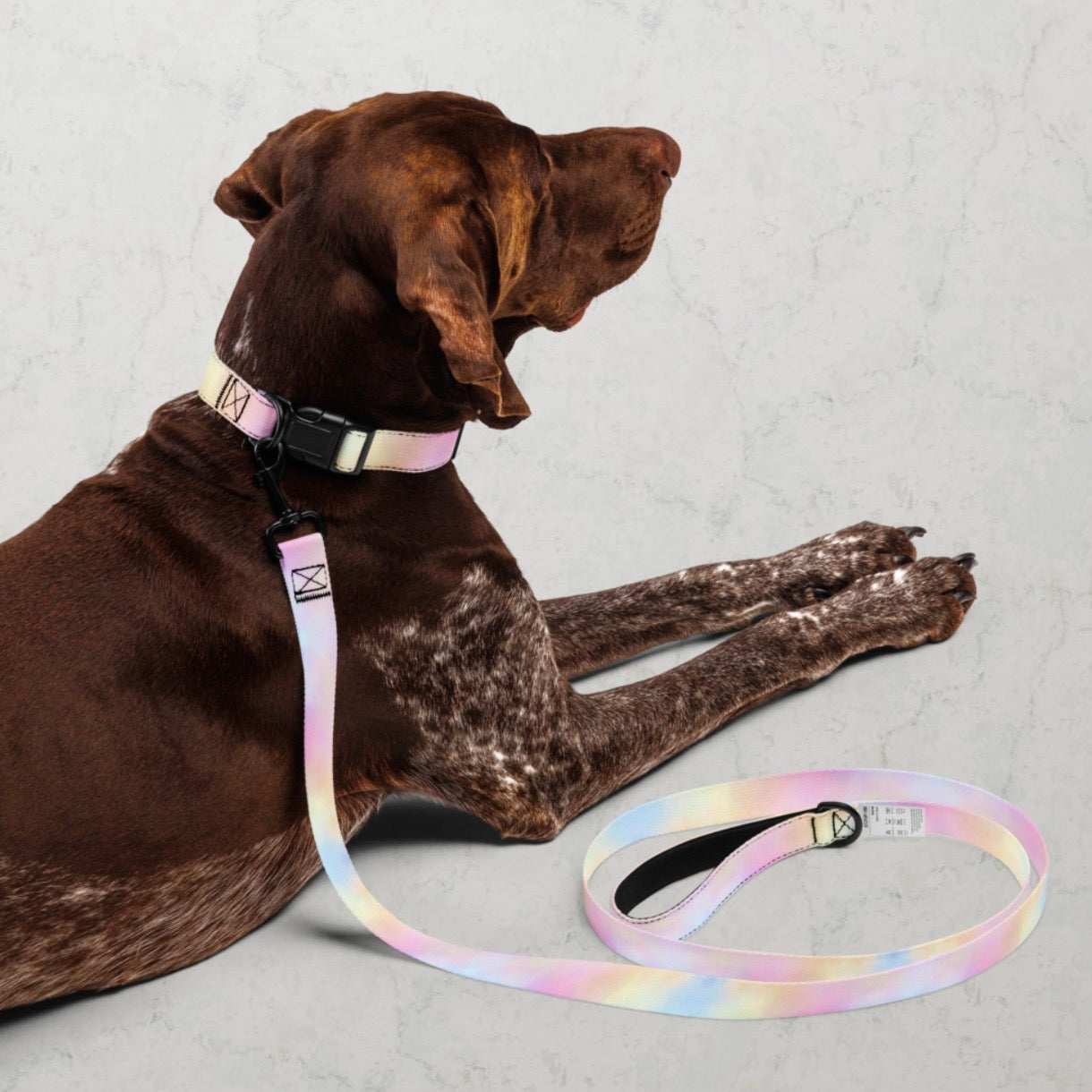 Cotton Candy Pet collar & leash