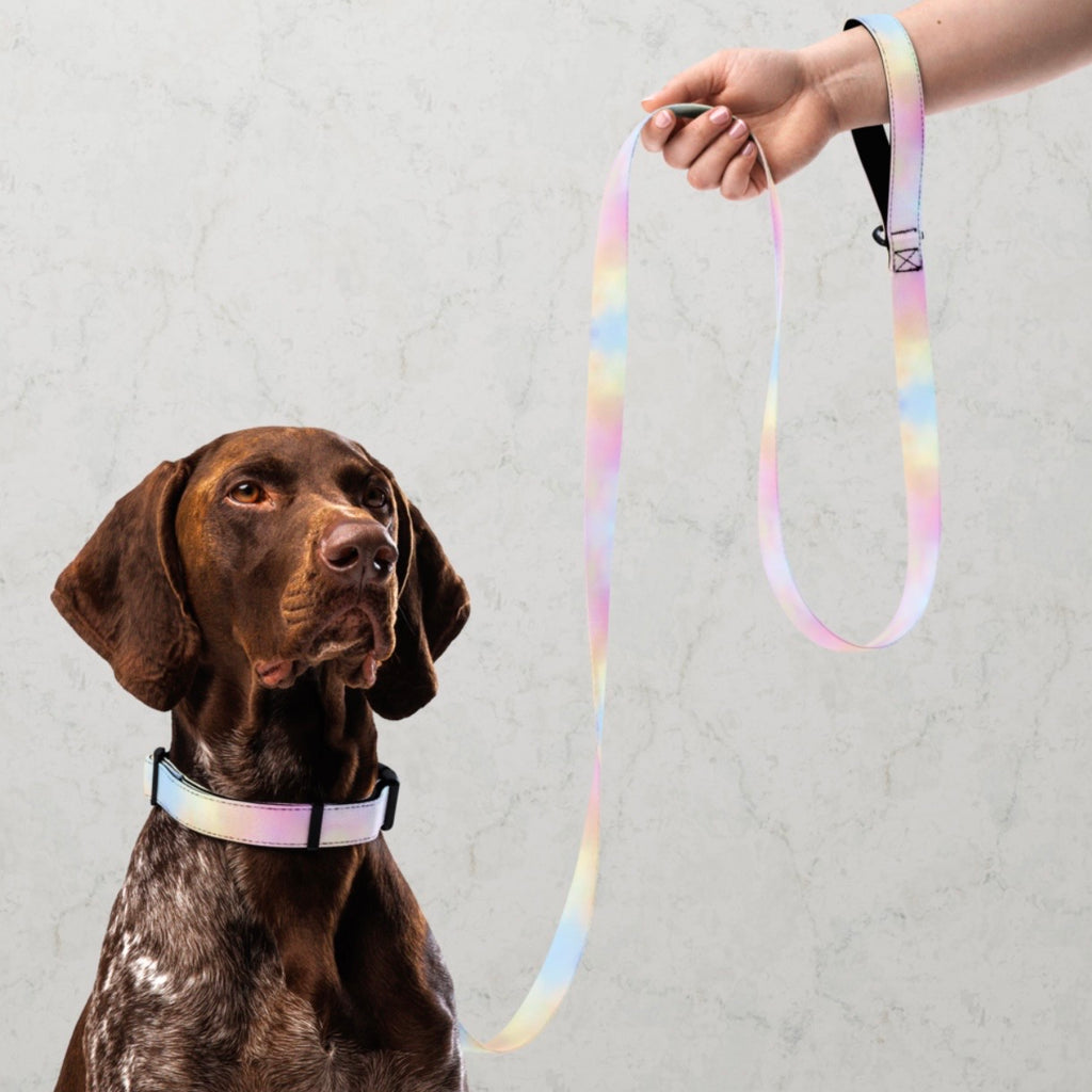 Cotton Candy Pet collar & leash